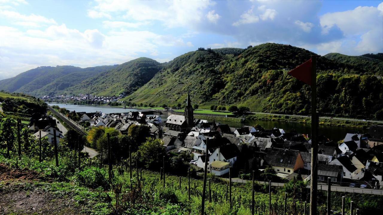Ferienhaus Erich Bremm Mit Moselblick Neef Kültér fotó