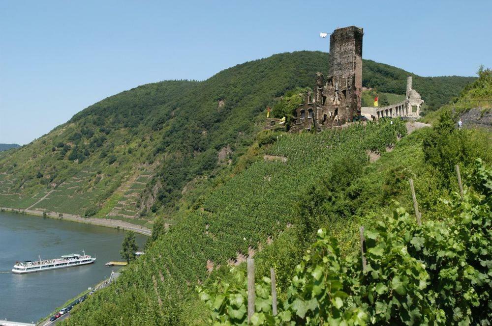 Ferienhaus Erich Bremm Mit Moselblick Neef Kültér fotó